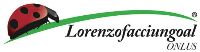 Associazione Lorenzo facci un goal onlus Associazione Lorenzo facci un goal onlus